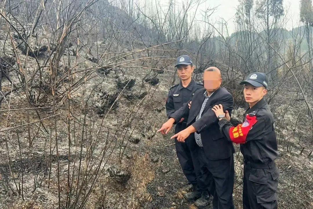 贵州多起山火肇事者被采取强制措施